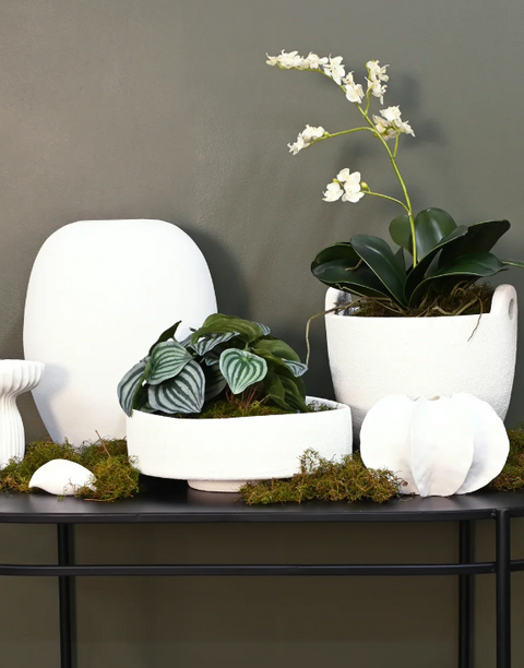 Bella Bowl White