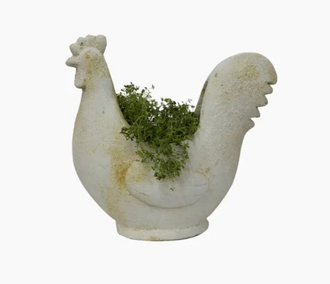 Chook Flower Pot