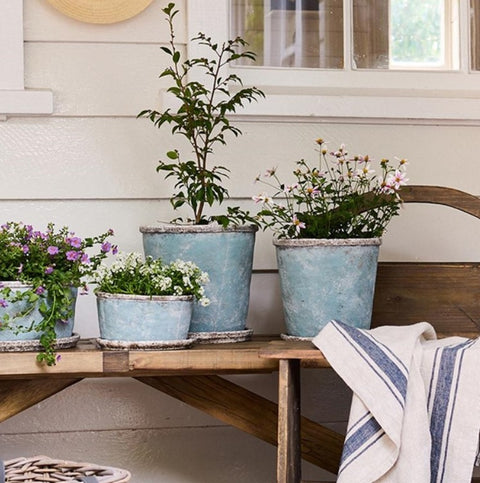 Sea Blue Pot and Saucer Large