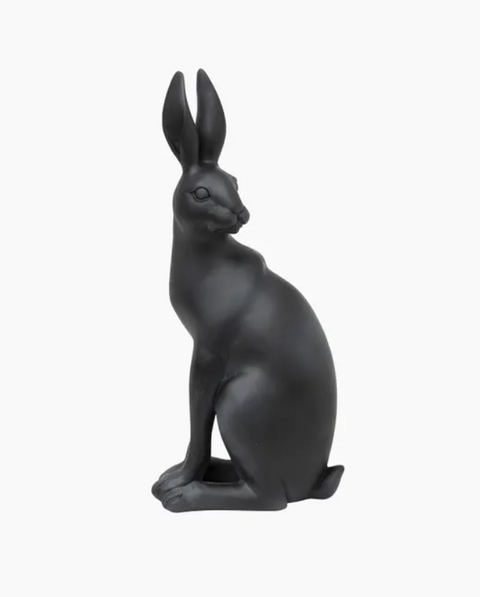 Harold the Hare Turning Black