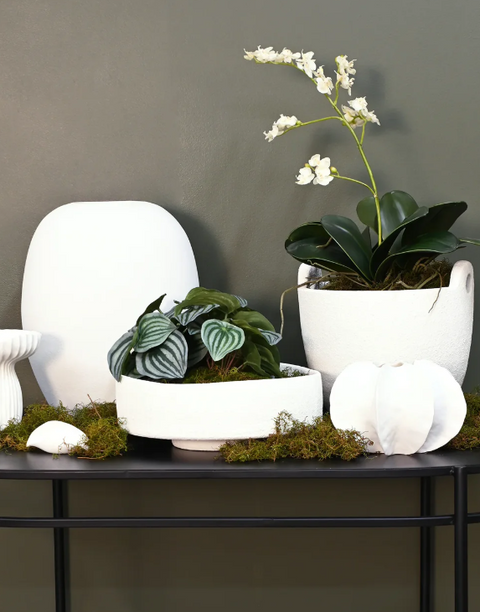 Rene 2 Handle Planter White