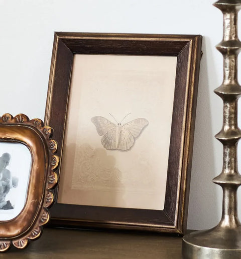 Butterfly Study Wall Art