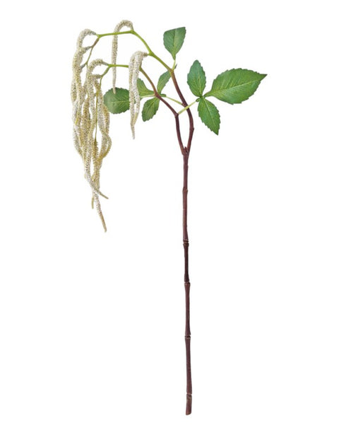 Catkin Spray Cream