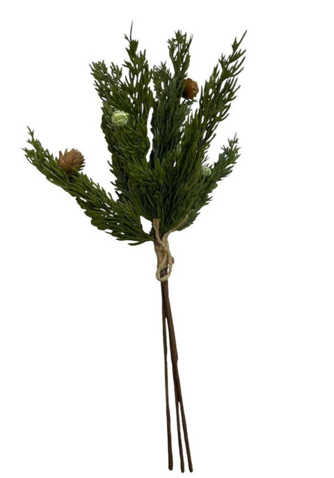 Cyprus Bundle w Pinecones 41cm