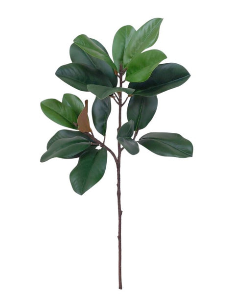 Garden Magnolia Spray Green