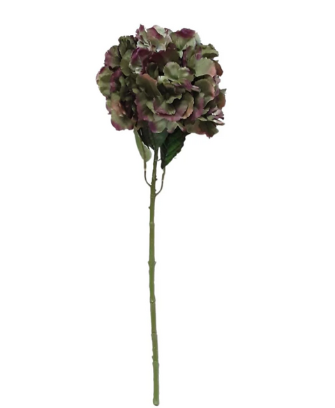 Large Ball Hydrangea Autumn Moss
