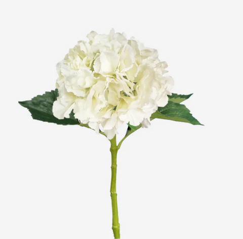 Large Ball Hydrangea White