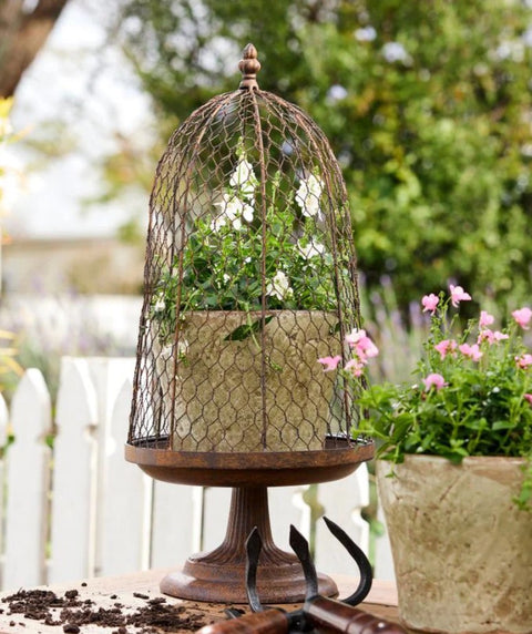 Maison Garden Cloche