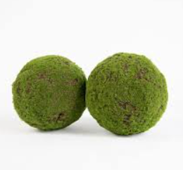 Moss Ball - 12cm