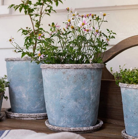 Sea Blue Pot and Saucer Medium