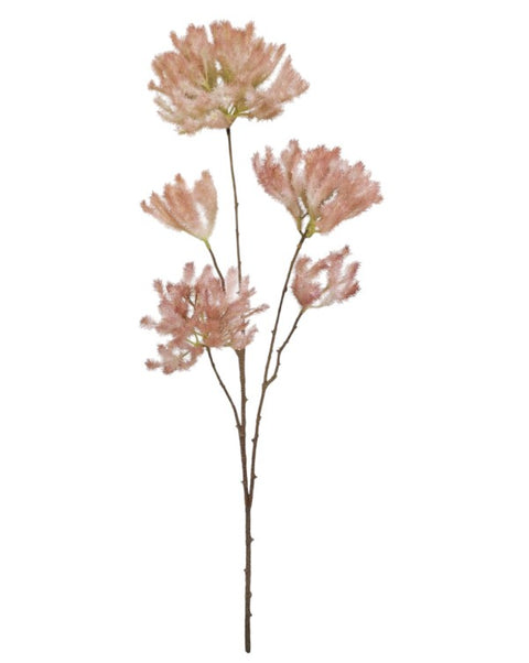 Smoke Tree Spray - Pink