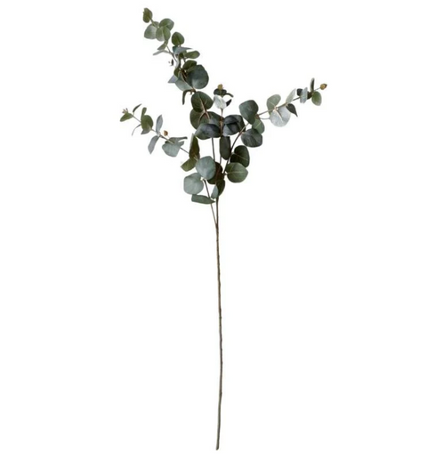 Tall Eucalyptus Spray