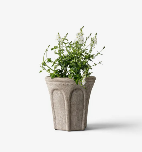 Terra Arc Planter Small