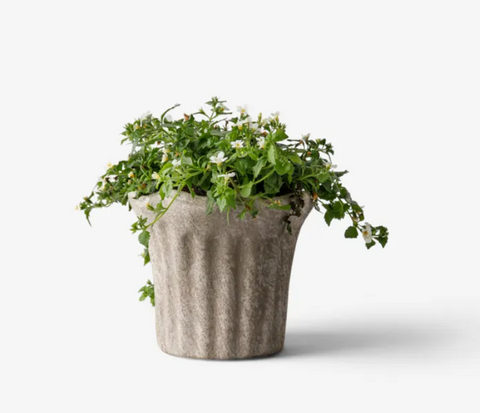 Terra Fluted Planter- Small