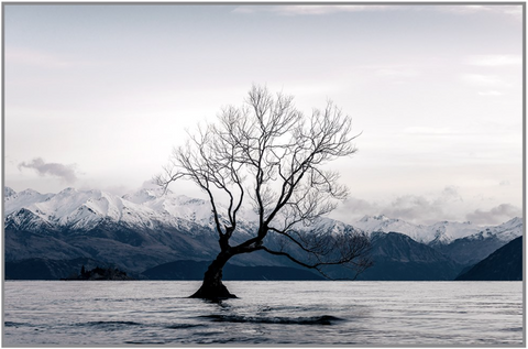 Winter Sunrise Wanaka Framed 120x80cm